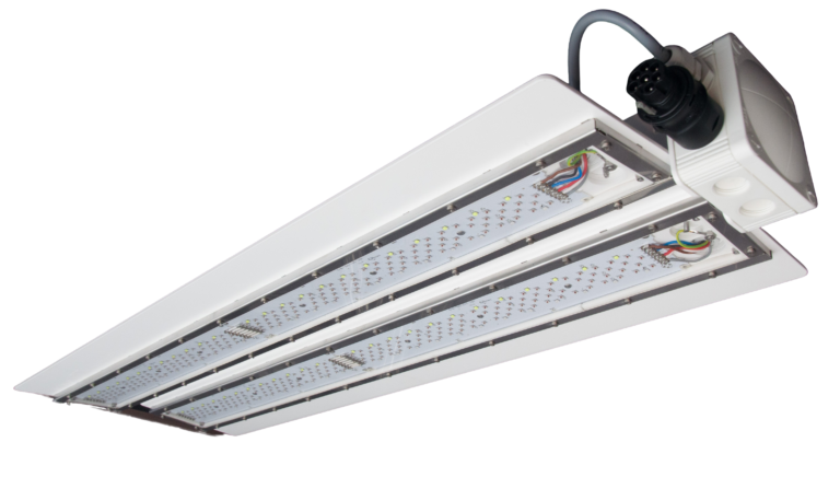 _IGP3642-ai-brush-removebg-nahr0ceu